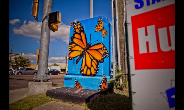 Click2Daily: Artists transform electrical boxes into mini murals throughout Houston