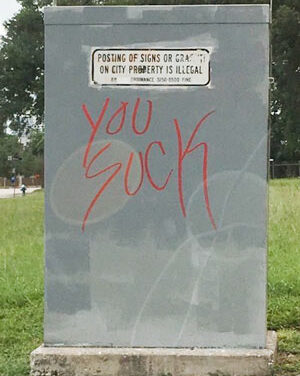 Houston’s Electrifying Insult Art Has Its Critics